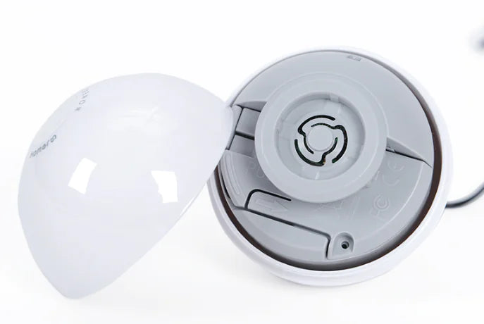 Cat Toy Wand - Essential Accessories for Cats